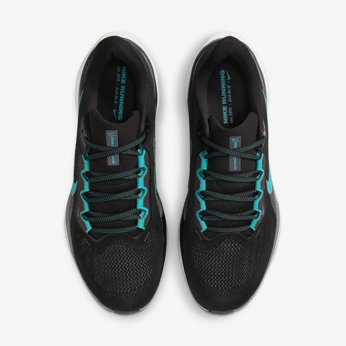 Nike Pegasus 41 Men's Road Running Shoes